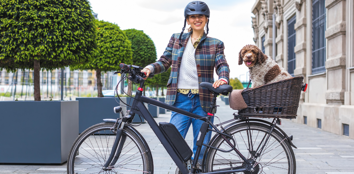 Electric Bike Buyer's Guide: Choosing The Perfect E-bike For Your Adve 